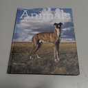 Animals in Photographs