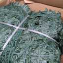 ODTORY Artificial Fence Privacy Screen: 4FT x 50FT UV-Anti Faux Greenery Backdrop Ivy Chain Link Shades Panels for Patio, Balcony, Garden,Deck,Backyard Indoor Outdoor Green Wall Decor