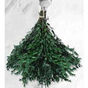 Real Eucalyptus Stems - 15-25 PCS, 17'' 8OZ Preserved Fresh Eucalyptus Plant Live Green Leaves, Dry Branches Greenery Bundle for Wedding, Home Decor (Large)