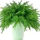 24 Pcs Faux Greenery Stems, Real Touch Artificial Norfolk Pine Branches Greenery Pine Picks for Vase Fillers, DIY Indoor Outdoor Spring Summer Home Decor (17 Inches)