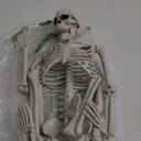 36" Halloween Posable Skeleton Decorations, 3FT Realistic Plastic Human Full Body Bones with Movable Joints Skeleton for Halloween Party Decor Haunted House Graveyard Props Indoor Outdoor