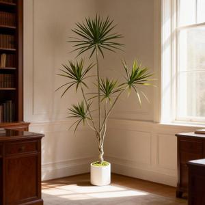 Artificial Dracaena Marginata Tree, 6FT Large Tropical Fake Plant | Realistic Red-edged Leaves, Faux Floor Tree with Heavy Decorative Base, Indoor Outdoor Home Office Living Room Decor Gift