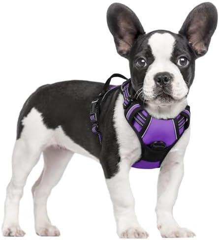 rabbitgoo Dog Harness No Pull with 2 Leash Clips, Adjustable Soft Padded, Reflective Oxford No Choke Pet Vest with Easy Control Handle for Small Dogs, Purple, S