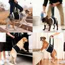 LumoLeaf Dog Lift Harness Sling for Back Legs, Adjustable Rear Leg Support & Mobility Aid, Hip Support for Senior/Disabled Dogs, Soft Fleece Lining, Padded Handles, for CCL/ACL Surgery (Black, Medium)