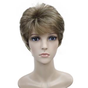 Wiginway Short Synthetic Wigs Golden Brown Mix Color Fluffy Straight Full Bang Capless Heat Resistant Fiber Wigs for Women