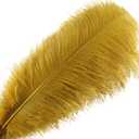 Sowder 5pcs Ostrich Feathers 16-18inch(40-45cm) Home Wedding Decoration(Gold)