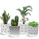 Ton Sin Plant Pots,5.5 Inch White Pots for Indoor Plants with Drainage Holes,Cylinder Flower Pot Ceramic Planters with Saucer,Cactus Succulent Outdoor Garden Pots Set of 3