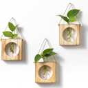 · GARDEN REPUBLIC · Propagation Stations Set of 3 - Propagation Vases for Plants - Hanging Wooden Wall Planter and Glass Test Tubes - Indoor Plant Holder, Hydroponic Decor