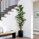 Artificial Rubber Tree Plant 6ft Tall Faux Ficus Tree Potted Fake Tropical Plants Decorative House Plants Large Floor Artificial Trees for Home Office Decor, Without The Pot
