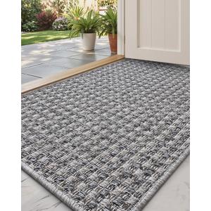 DEXI Dirt Trapper Door Mat, 20x31 Washable Doormat, Dirt Resistant and Absorbent, Easy Clean Low-Profile Floor Rugs for Entryway, Front Door, and Inside Entrance, Checkered Grey