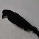 Realistic Hanging Dead Crows Decoy Life Size Black Feathered Crow Dead Crow Decoy for Garden Halloween Decorations