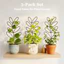 Plant Trellis Indoor Climbing Support - 3-Pack 12.6" Small Metal Garden Trellises for Potted Hoya Pothos Monstera - Rustproof Outdoor Gardening Accessories for Plant Lovers