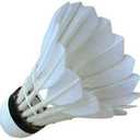 Gold Series Feather Shuttlecock (Pack of 10) | Durable Badminton Birdies for Training & Match Play