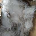 PAW BRANDS PupRug Faux Fur Orthopedic Luxury Dog Bed