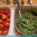 3 in 1 Kitchen Sink Stopper and Strainer Combo, Pop Up Stainless Steel Kitchen Drain Strainer, Anti-Clogging Sink Strainer Basket with Handle for Standard 3-1/2 inch Drain, 1Pack