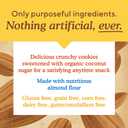 Simple Mills Almond Flour Chocolate Chip Cookies, Gluten Free and Delicious Crunchy Cookies, Organic Coconut Oil, Good for Snacks (Packaging May Vary) (EXP 08/12/26)