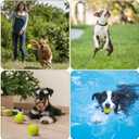 Nobleza Dog Tennis Balls 12 Pack, 2.5 Floatable Squeaky Tennis Ball for Small Medium Dogs, Training Safe Natural Rubber Squeaky Dog Balls for Dogs to Fetch Exercise, Yellow