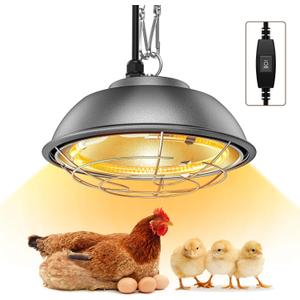 350 Watt Heat Lamp for Chickens - Chtoocy Chicken Coop Heater with Carbon Fiber Bulb, 5.2FT Thickened Power Cord & Chicken Heat Lamp with 2 Temperature Adjustable (175/350W) for Chicks, Ducks and Pets