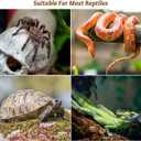 2 x Hemobllo 6 Pack Reptile Feeding Tank Buckles Anti-Escape Terrarium Locks for Turtle Breeding Boxes Compatible with Nomo Yl-07 Terrariums Durable Plastic Latches for Amphibious and Rainforest Tanks