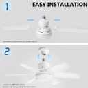 Socket Fan Light Original-Warm,Natural,Cool LED 20'' Screw in Ceiling Fans with Lights and Remote Control,Replacement for Lightbulb-Bedroom,Kitchen,Bathroom 2000L, Temperature can Change