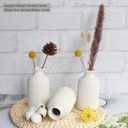 YANLING 6 Pack White Vase Small Ceramic Vases for Decor, White Vases for Flowers Boho Home Decor, Pampas Grass Dried Flowers Vases