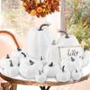 Ywlake 16 pcs Pumpkin Fall Decorations, Decorative Large Small Outdoor White Foam Plastic Fake Faux Artificial Pumpkins for Halloween Autumn Harvest Festival Home Table Decor