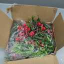 Joyhalo Christmas Garland with Lights Battery Operated - 5.6ft 20 LED Red Berry Lighted Christmas Garland, Christmas Decorations Prelit Garland Indoor Outdoor Fireplace, Stair, Railing, Mantle Decor