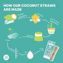 EQUO Coconut Drinking Straws (Pack of 50, Cocktail) - Plastic-free, Home-compostable, Eco-friendly Straws for Cocktails