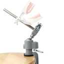 Typodont Teeth Model Training Mount, Desk-Clamp Dental Manikin Stand with Adjustable Ball Joint for Dental Education (Model NOT Included) Compatible Rod Diameter 10mm