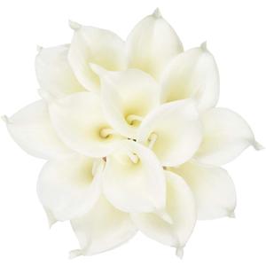 HoveBeaty Calla Lily Bridal Wedding Festival Decor Bouquet Real Touch Latex Flower Bouquet Pack of 20 (Pure White)