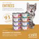 Catit Recipes Skin & Coat Chicken & Seafood Entre High-Protein Wet Cat Food with Tuna, Salmon, Mackerel & Chicken, Omega-3 for Skin & Coat, Prebiotics, Hydrating Bone Broth, Taurine 3oz (12/cs) (EXP 11/01/27)