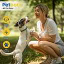 Petbobi Dog Tie-Out Cable and Stake - 20ft Heavy Duty Cable with Spring, No Tangle, 16in Ground Stake, Ideal for Yard, Camping and Beach, Suitable for Small Medium Large Dogs Up to 120 lbs, Blue