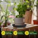 Maygrove 6 Pack Plant Saucer, 8 10 12 inch Plant Saucers for Indoor, Heavy Duty Plastic Plant Trays for pots, Grow Bags, Bird Baths, Flower Drip Trays for Indoor and Outdoor Uses (10", Black)