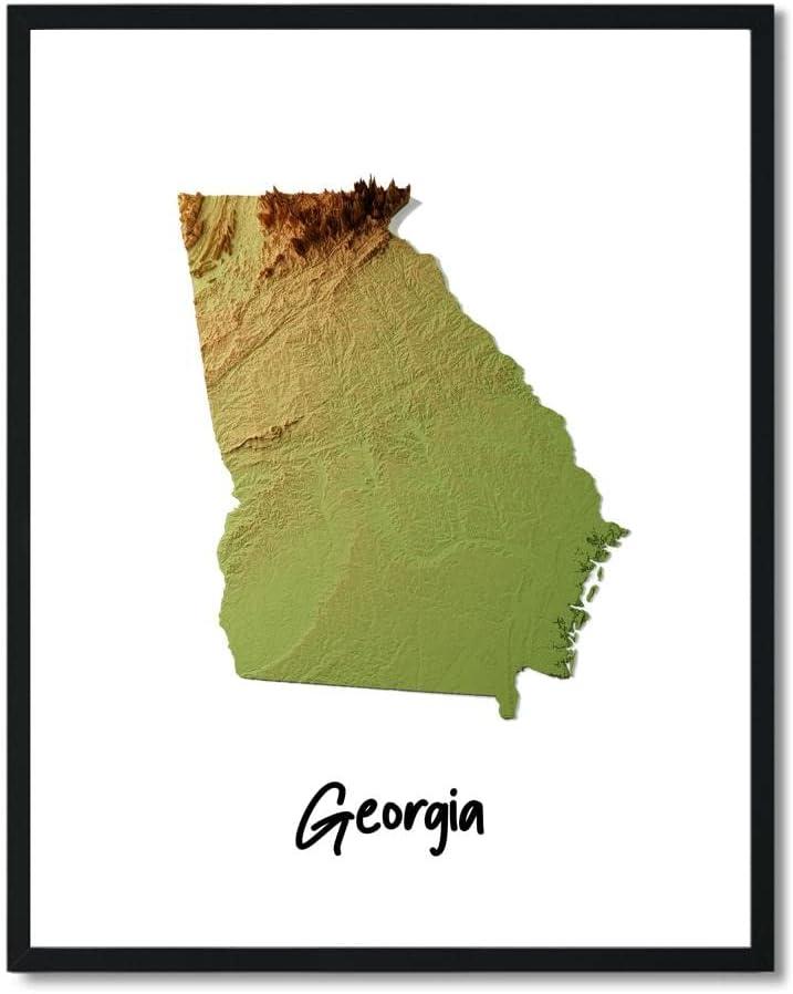 Susie Arts 8X10 Unframed Georgia State Geography Map Art Print Poster Topography Terrain Education Home Abstract Wall Decor SDAP667