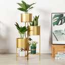 SSS Furniture Corner Plant Stand Indoor Metal, 6 Tier 6 Potted Outdoor Flower Pot Stands Holder Shelves for Living Room, Potted Storage Shelf Rack, Decorative Holder Rack for Multiple Plants (Golden)
