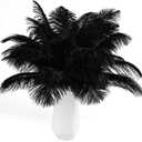 THARAHT Black Ostrich Feathers 12pcs Natural Bulk 8-10Inch 20cm-25cm for Crafts Wedding Party Centerpieces Halloween and Home Decoration Feathers