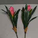 2Pcs Artificial Bromeliad Plants, 18" Fake Hawaiian Ginger Flower,Large Real Touch Faux Tropical Flowers, Lifelike Exotic House Plants for Home Office Indoor Decoration (Pink)