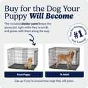 MidWest 18-Inch Single Door iCrate, for Tiny Breeds, Up to 10 lbs