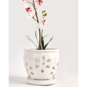 vensovo 5 Inch Ceramic Orchid Pots with Holes and Saucers - 1 Pcs Small Succulent Pot for Repotting, Garden Flowerpots for Plants Indoor and Outdoor Promotes Air Circulation, White