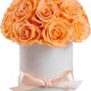 Preserved Roses Dome in a Box, Forever Real Roses Decor, Eternal Flowers for Delivery Prime, Best Gifts Birthday, Wedding, Anniversary, Mother's Day, Christmas for Her, 18-Pieces (Champagne)