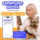 2 x HeyBuddy Slide Series - QR Code Smart Pet Tags for Dogs & Cats, Personalized Pet Tag Stores Multiple Information, Includes Passive Location Tracking, Real-Time Notification & Community Alerts (Large, Blue)