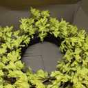 Huashen Summer Wreaths for Front Door, 24 Inch Yellow Forsythia Spring Door Wreath, Farmhouse Summer Door Wreaths on Grapevine for Christmas Celebration Wall Window Decoration Hanging