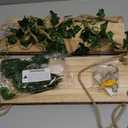 RICHER HOUSE Artificial Ivy LED-Strip Wall Hanging Shelves Set of 2, Macrame Shelf no Drilling for Living Room Decor, Bedroom, Kitchen, Wood Hanging Plant Shelves for Wall Dcor