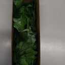 RECUTMS Ivy Fake Vines for Room Decor 12 Pack 86 FT Artificial Plant with 100 LED String Light Bedroom Aesthetic Hanging Greenery Garlands Backdrop Leaves for Wall Wedding Party Home Garden Decor