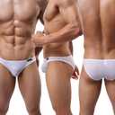 WINDAY Men Briefs Breathable Ice Silk Triangle Bikinis and Briefs D318 (XXXL)