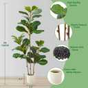 Warmplants Artificial Fiddle Leaf Fig Tree 5ft Tall with White Planter | Fake Ficus Lyrata Plant, Faux Fig Trees for Indoor Home Office Living Room Decor