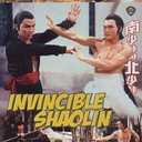 Invincible Shaolin