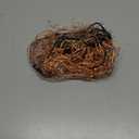 165Ft Ultra Long 500 LEDs String Lights Plug in, with Switch/Timer, Waterproof Dimmable Copper String Lights for Home/Holiday Decor, 8 Modes Fairy Lights with Remote, Warm White UL Listed