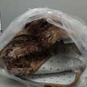 FinRec Brown Rugs for Bedroom Living Room, 4x6 Feet Plush Fluffy Shag Area Rug, Non-Slip Fuzzy Furry Shaggy Rug for Kids Room Dorm Room Home Decor, High Pile Soft Floor Carpet