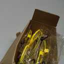 Bencailor 12 Pcs Bee Glasses Sunglasses Honey Costume Funny Accessory for Adult Antenna Party Favors(Transparent)